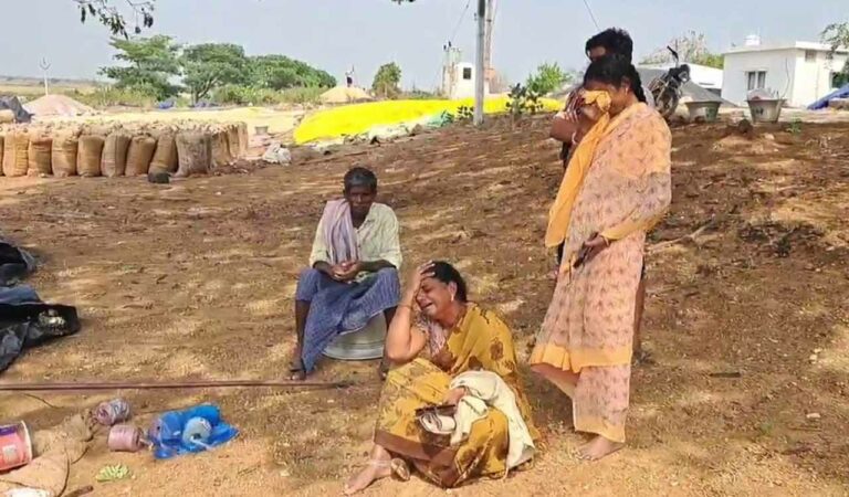 The couple Bollam Ramaiah and Chandrakala of Pullaiah Banjara village of Kallur mandal in the district brought paddy to the local purchase centre 20 days ago. The produce was soaked and swollen due to untimely rains as the authorities failed to purchase paddy even after 20 days.