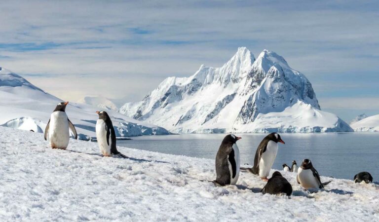 Antarctica