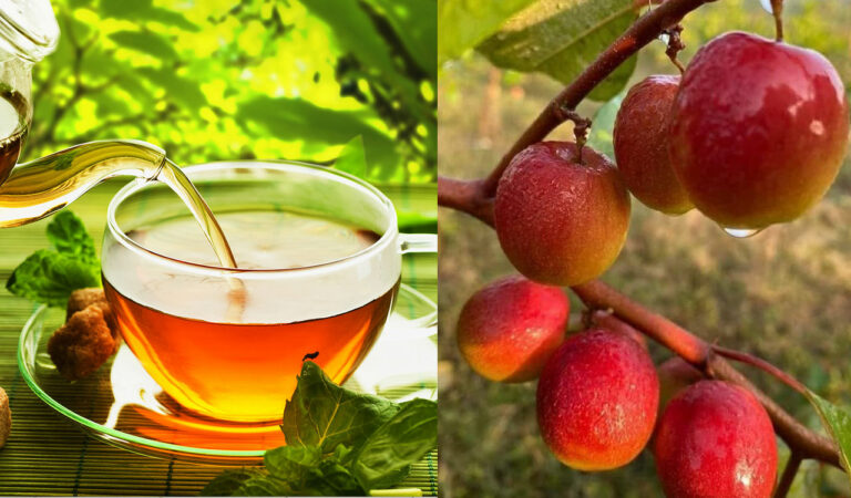 lifestyle want to age healthy higher intake of these items may help