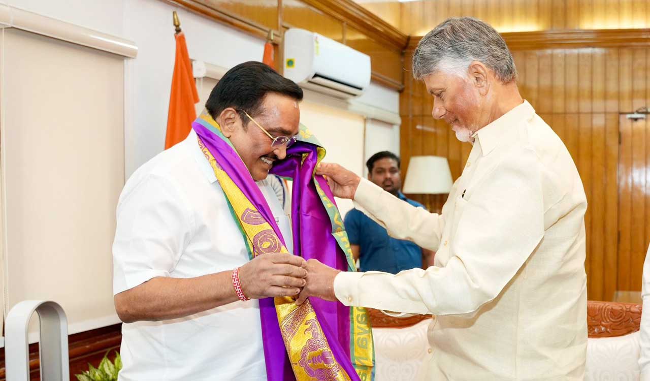 Andhra Pradesh CM Naidu seeks Centre’s support for State’s renewable energy initiatives