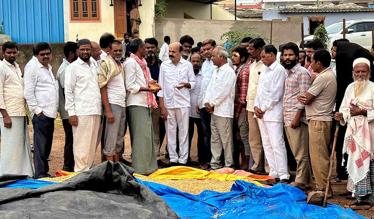 BRS MLA Chintha Prabhakar asks Telangana government to buy wet paddy, maize without conditions