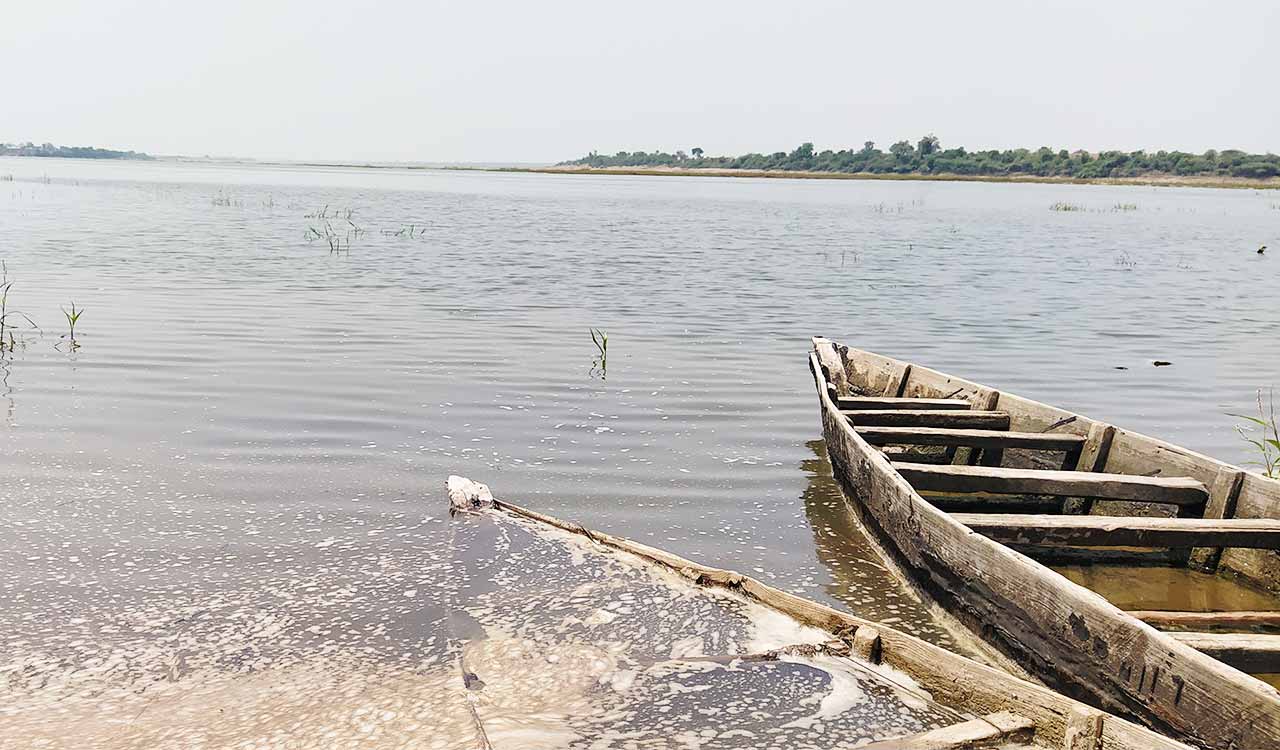 Telangana: Deepening pollution crisis in Godavari threatens lives, livelihoods