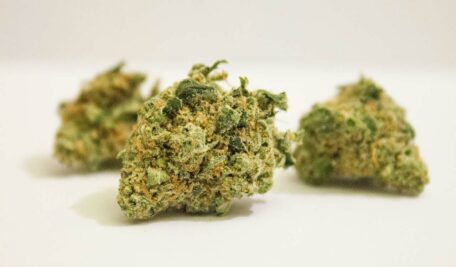 Four held for smuggling ganja in Nirmal