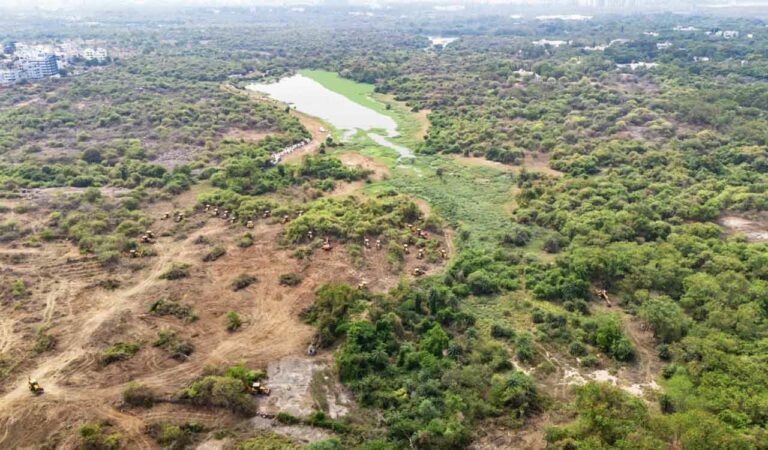 Tiger reserves and forest act