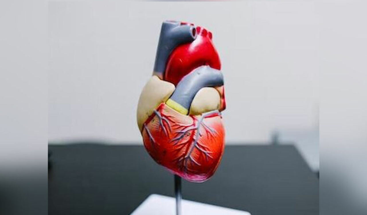Unhealthy lifestyles may be ageing your heart too fast