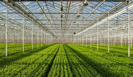 Horticulture 456x267