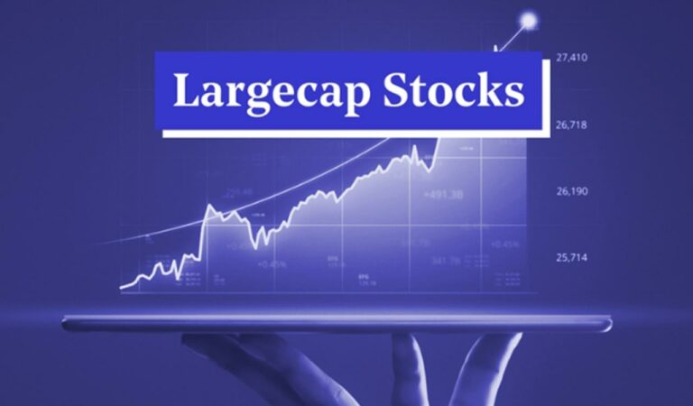 Large Cap Stocks