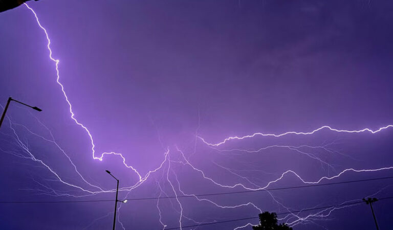 Rains and lightning: 25 sheep electrocuted in Telangana's Peddapalli