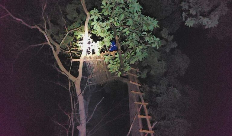 Officials, volunteers and locals participate in a moonlight wildlife census held in Utnoor forest division on Monday night