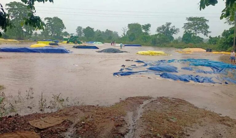 Telangana: Unseasonal rains damage paddy in Mulugu