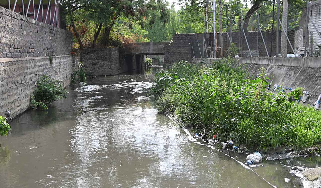 Monsoon preparations: Is Hyderabad ready for rains?
