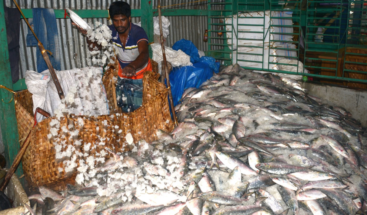 India’s seafood exports increase despite global uncertainties