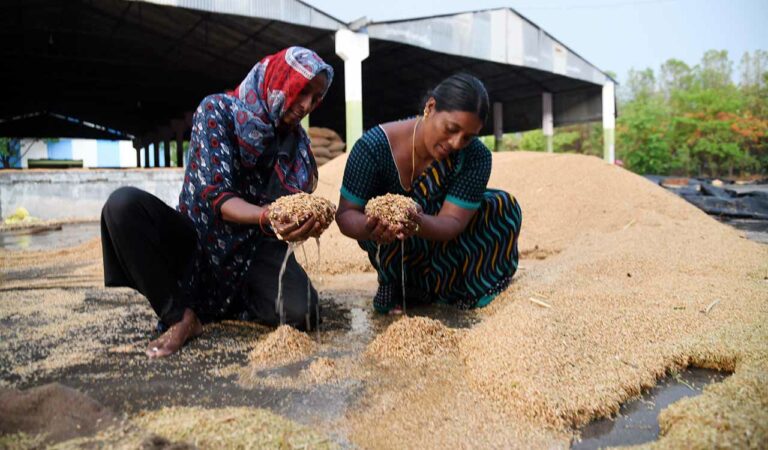 Rain, hailstorms lash Siddipet in Telangana