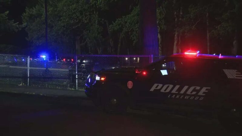 Seven people were shot and wounded at a park near Tacoma, Washington