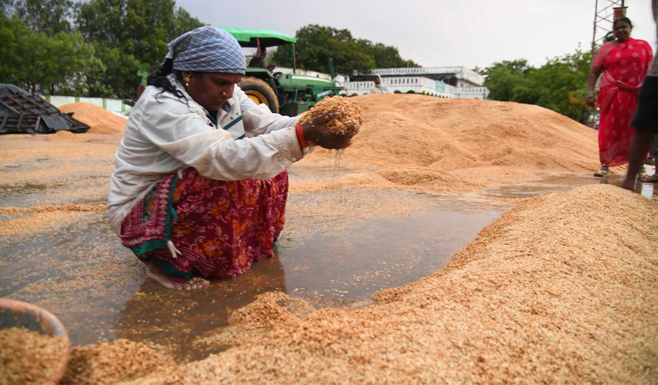 Telangana: Unseasonal rains soak Adilabad, devastate farmers’ crops