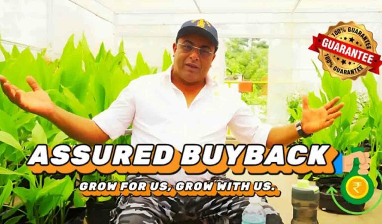 The Turmeric Revolution