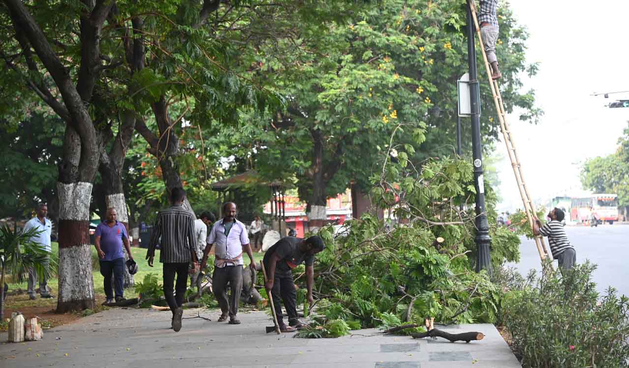 Hyderabad: Several trees pruned on Tank Bund amid summer