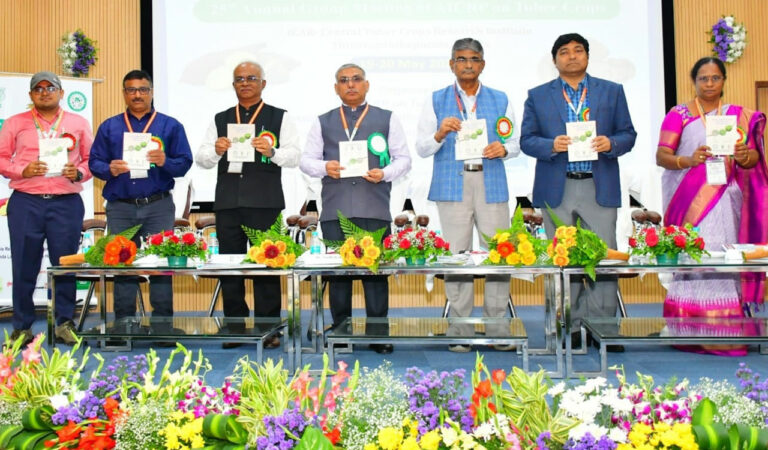 Tuber crop vegetable Cultivation to achieve nutritional security, export opportunities says skltshu Vice Chancellor