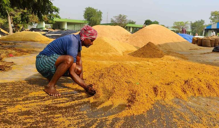 Paddy drying on roads claims lives in erstwhile Medak
