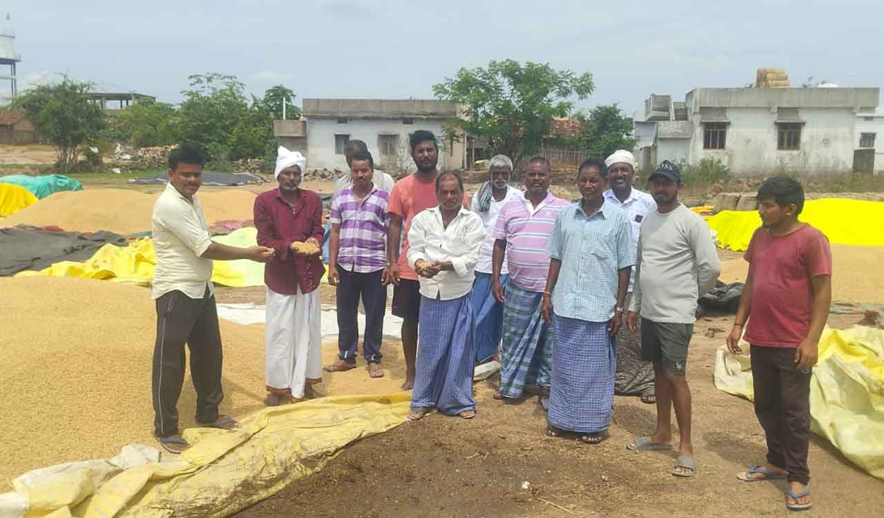 Unseasonal rains cause losses to paddy farmers in Telangana’s Nirmal