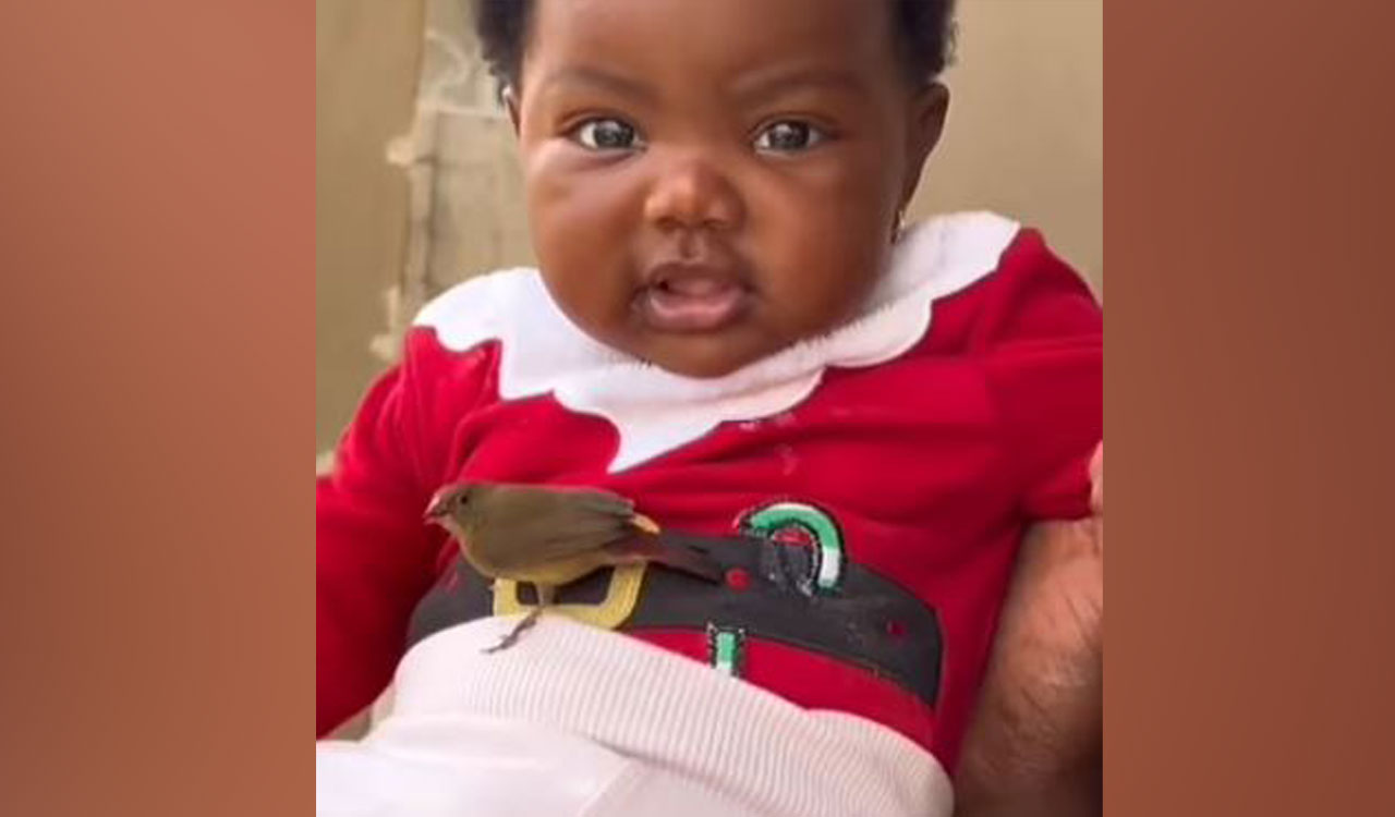 Queen of Birds: Baby girl charms feathered visitors