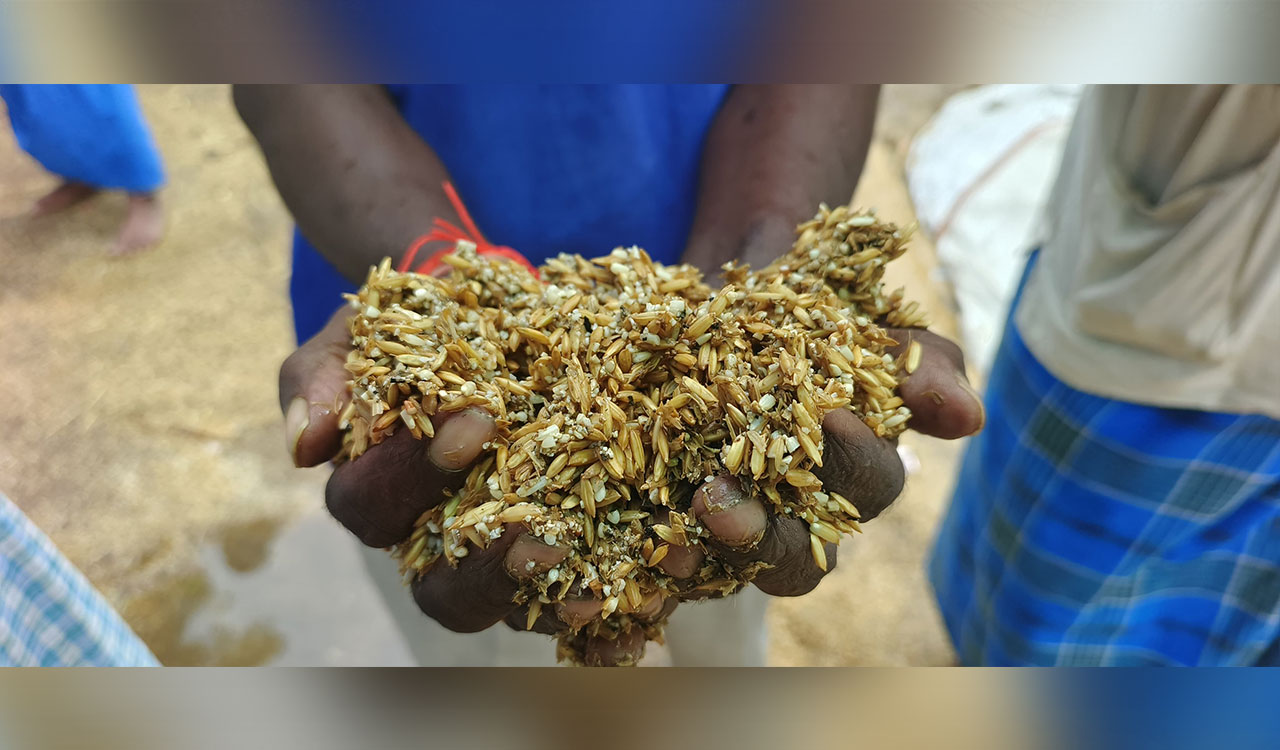 Farmers’ protests escalate across Telangana over delayed paddy procurement