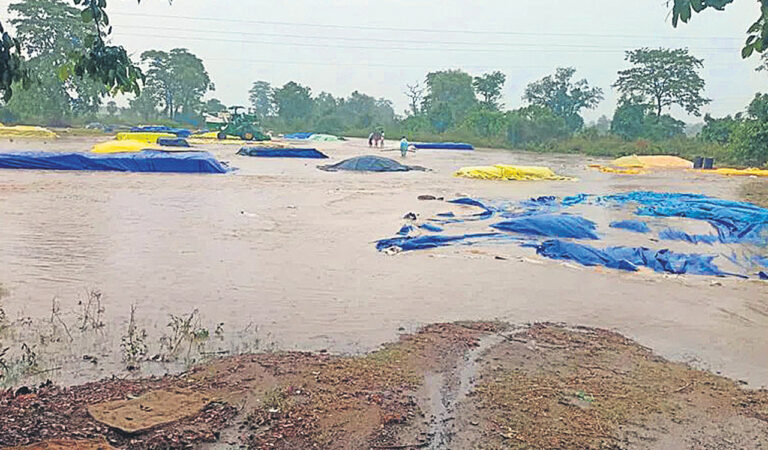 Unseasonal rains: Paddy stored at procurement centres soaked in Nirmal