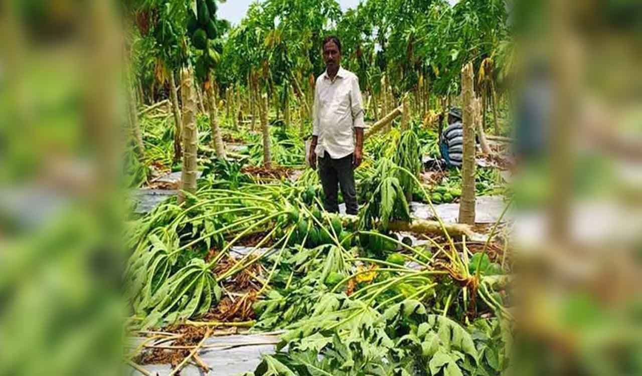 Telangana: Farmers suffer huge losses due to unseasonal rains across Khammam
