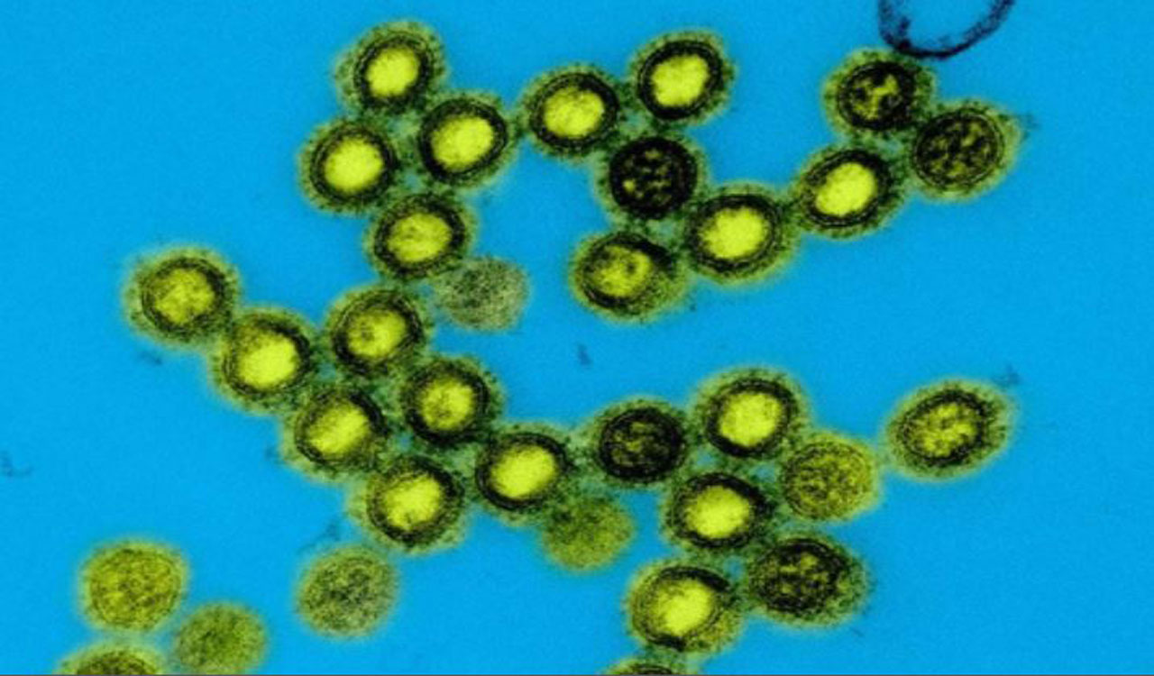 US launches next-generation universal vaccine platform for pandemic-prone viruses