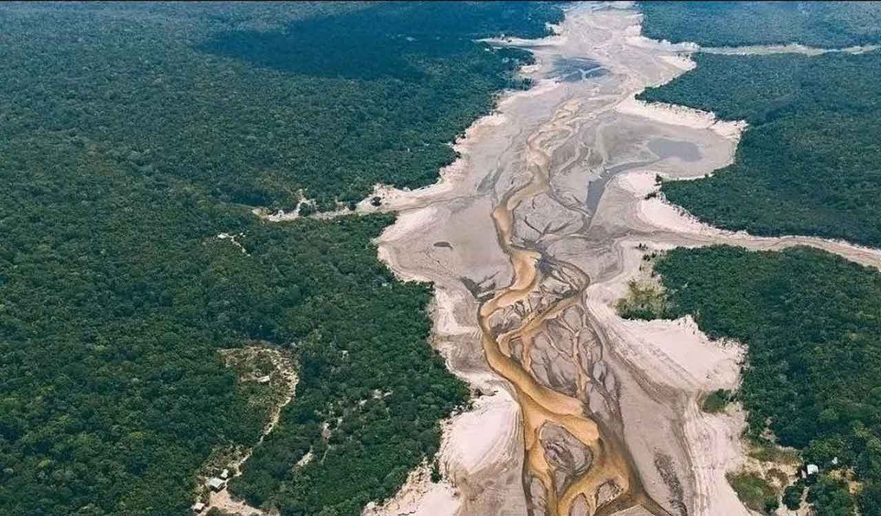 Brazil auctions off several Amazon oil sites 