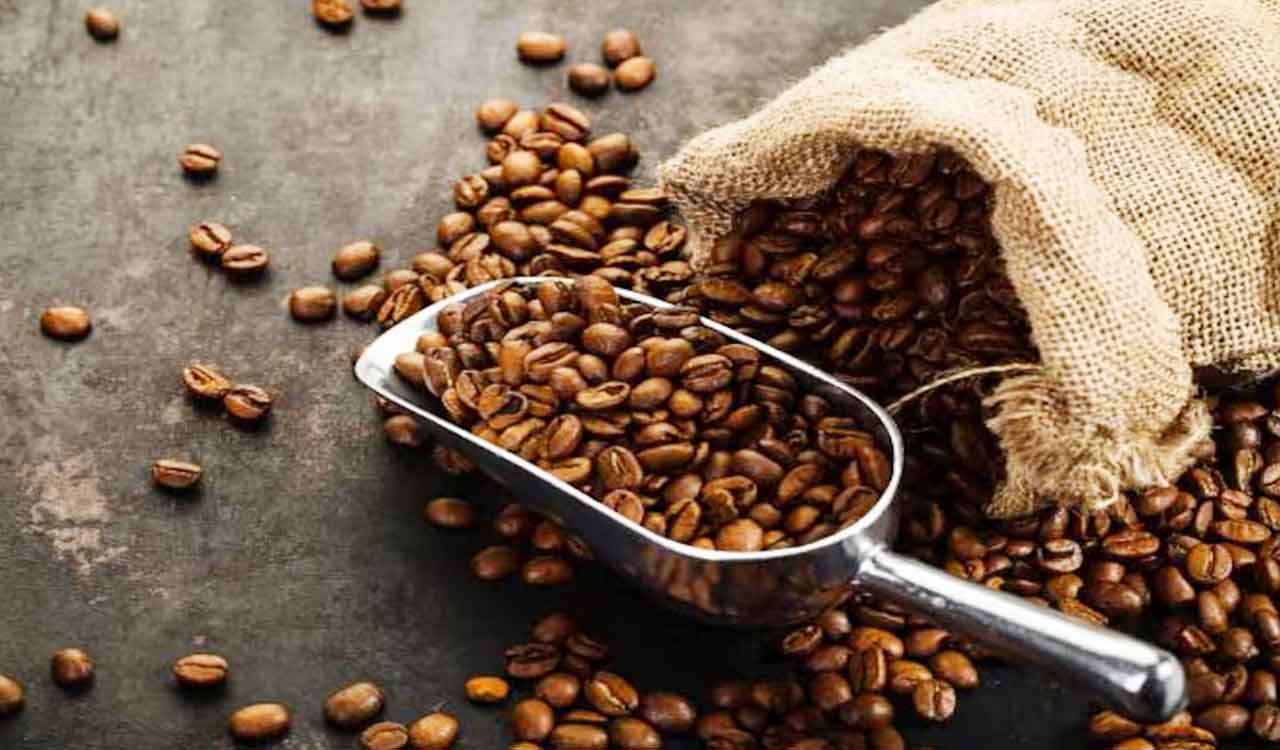 Coffee exports up 125 per cent to USD 1.8 billion in last 11 years: Central government data