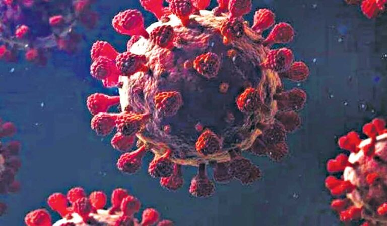 Don’t be complacent, focus on boosting immunity, immunologist warns