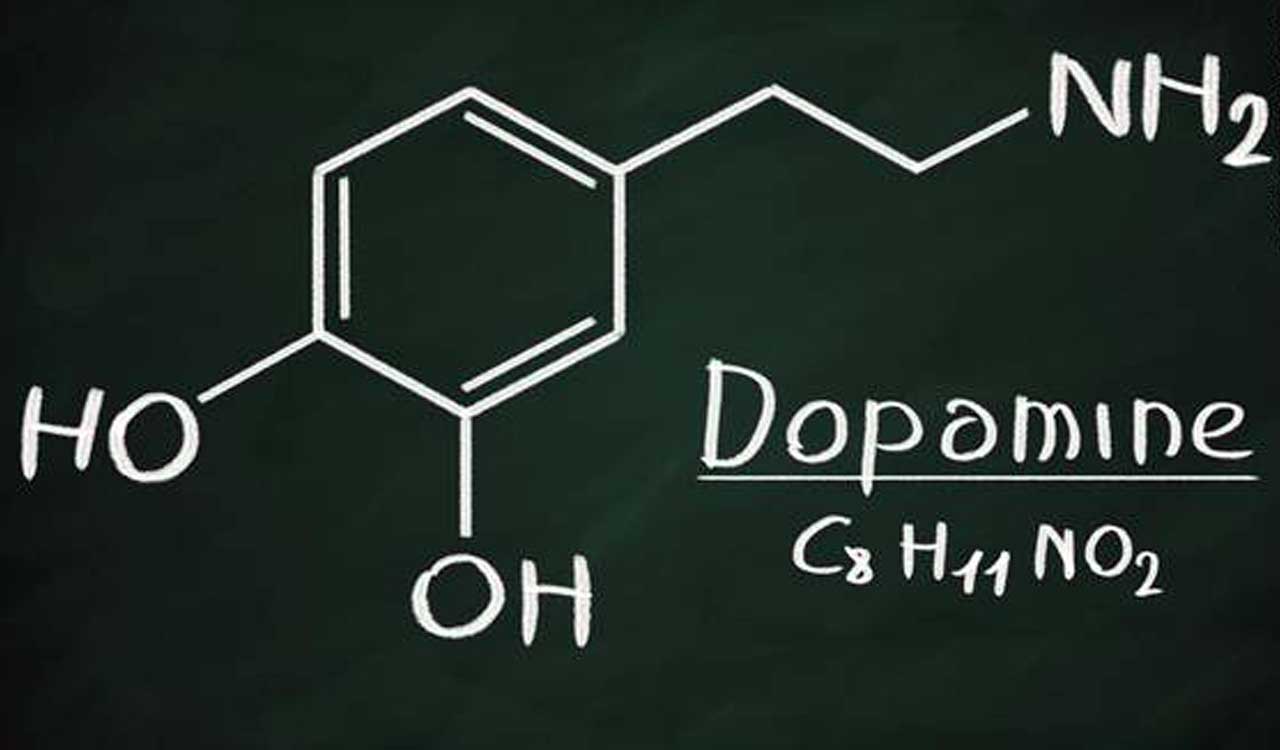 Dopamine makes it hard to put down our phone. Here’s why