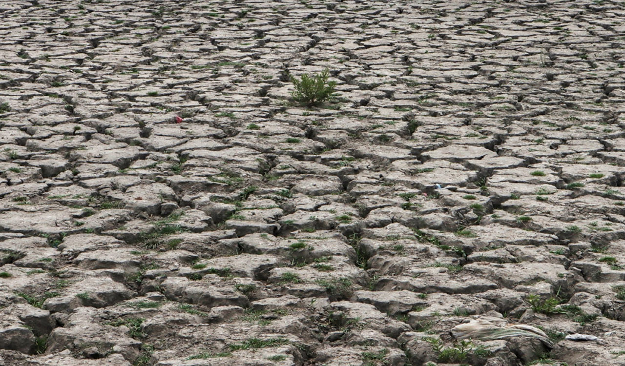 Telangana faces Kharif crop crisis amid monsoon shortfall