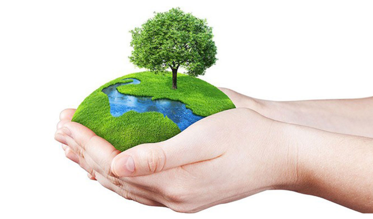 Inmates join hands to make two lakh seed balls in Telangana jails on World Environment Day