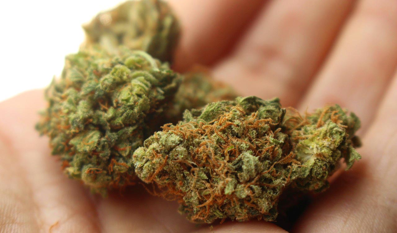 Excise constable, nephew held for peddling seized marijuana in Shadnagar