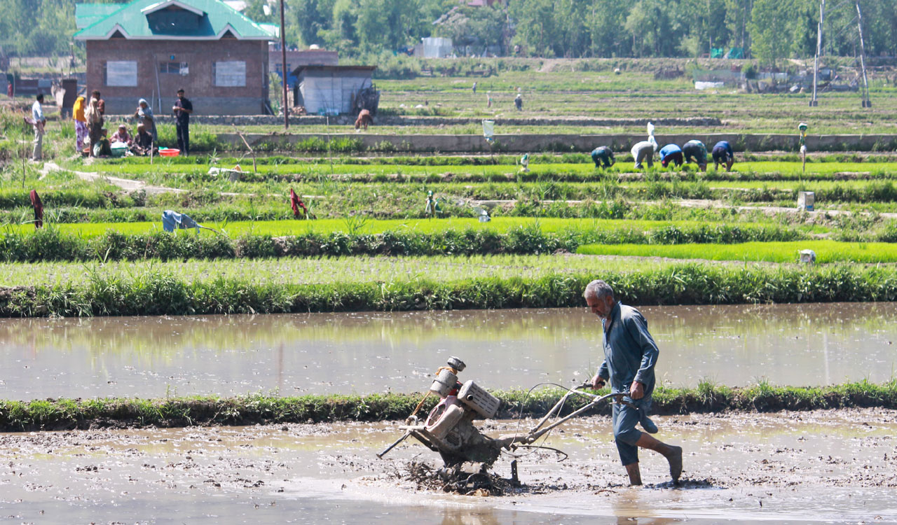 Over 6.1 cr Indian farmers have have digital IDs similar to Aadhaar card linked to land records