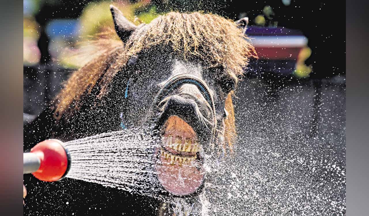 Sweltering temperatures grip Europe, putting regions on high alert