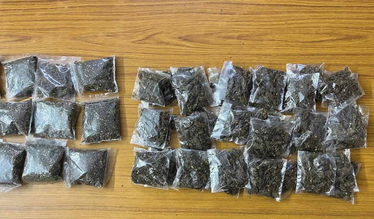 Hyderabad: Two drug peddlers from Bihar caught with ganja in Nacharam
