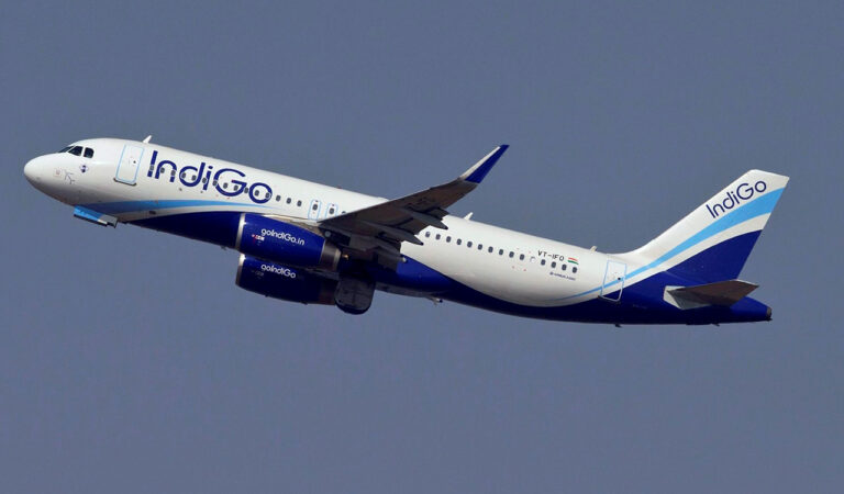 Indigo Flight