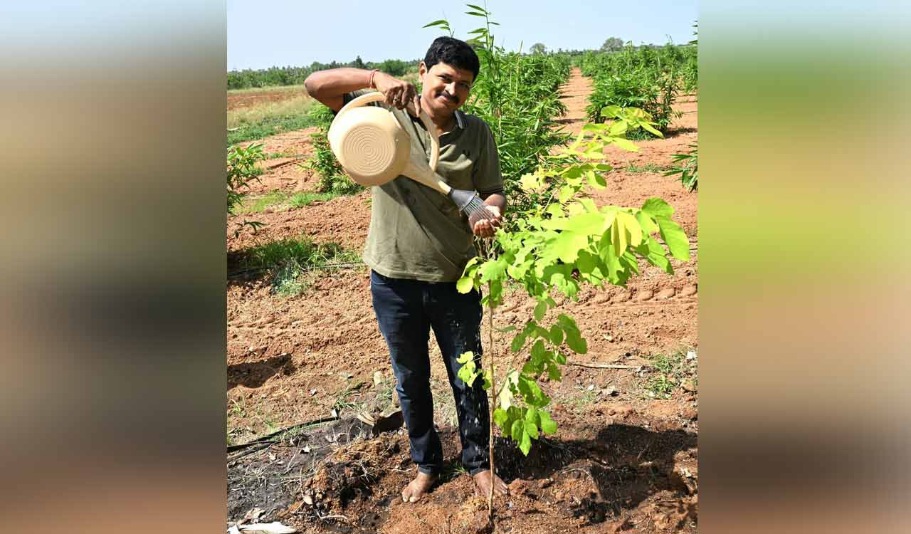 Former MP Santosh Kumar plants saplings on World Environment Day, nominates leaders for Green India Challenge