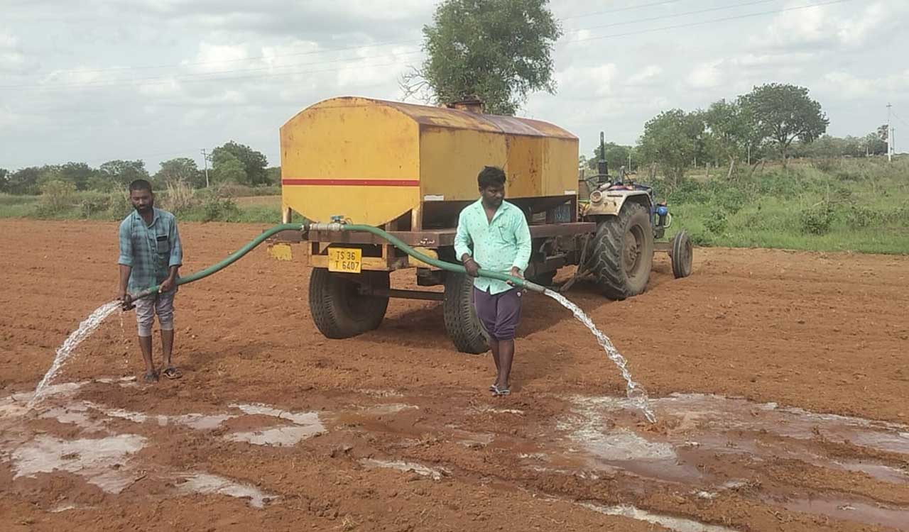 Dry spell forces Medak farmers to water unsprouted seeds manually