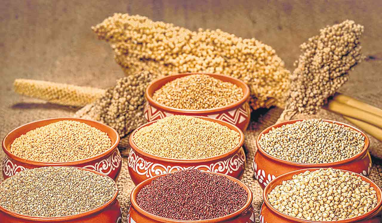ICRISAT unveils world’s first speed breeding protocol for finger millet