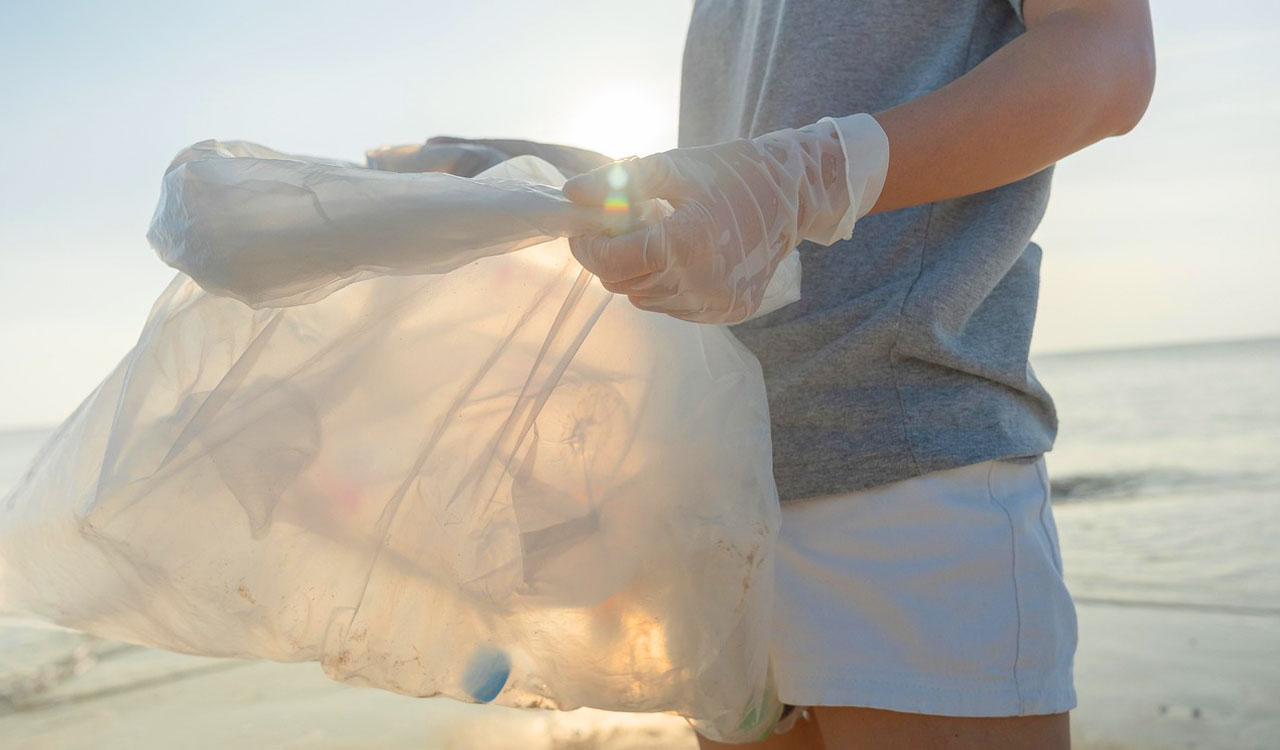 Recycled plastics found to leach toxic chemicals affecting hormone function: Study