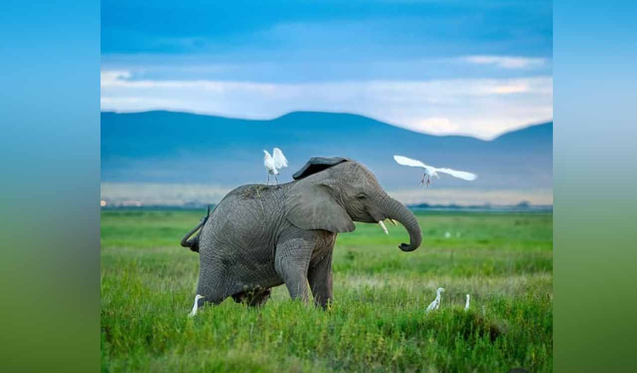 Actress Sadaa talks about her passion for wildlife photography
