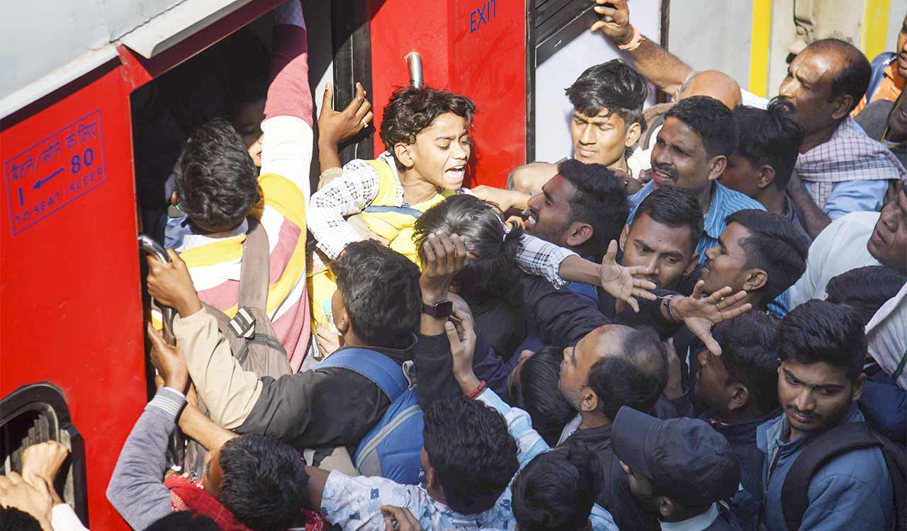 Opinion: Let the next stampede not be the next story