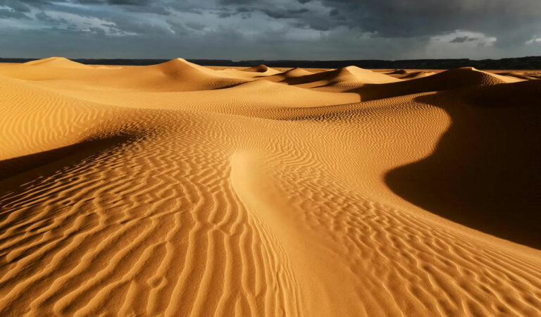 Sahara