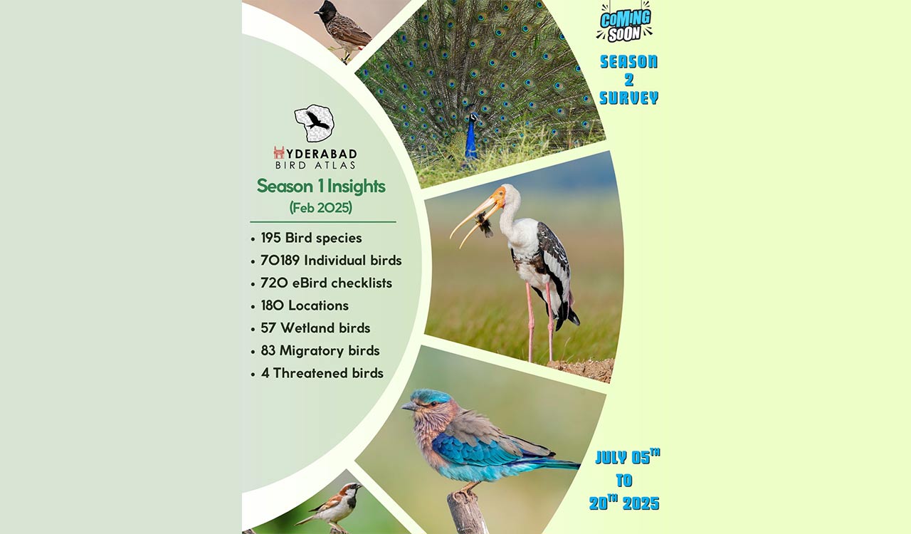 Hyderabad Bird Atlas Season 2 survey to kick off on July 5