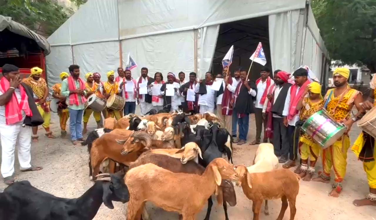 Shepherd community protests with sheep at Gandhi Bhavan, demands cabinet berths and welfare schemes