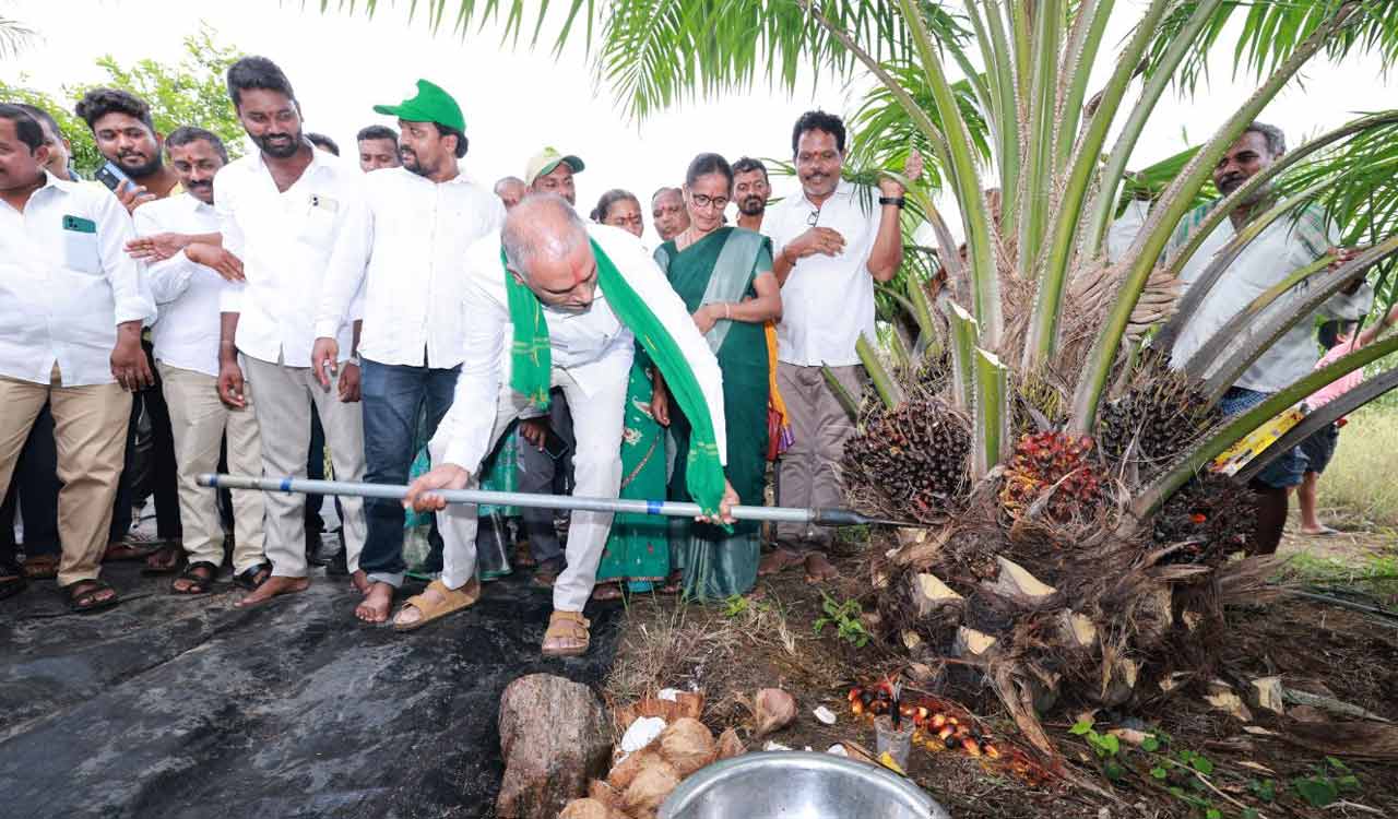Centre, State failing to support palm oil cultivation: Harish Rao
